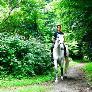 サムネイル: 馬の散歩道1