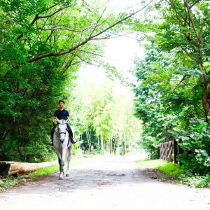 サムネイル: 馬の散歩道3