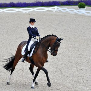 写真：馬術大会 CHIO Aachen 2016 - 1