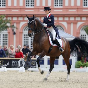 写真：馬術大会